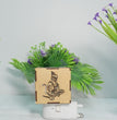 Hanuman Aroma Burner & Night Lamp