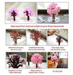 Magic Cherry Blossom Tree