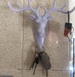 Hanging Hook- Self Adhesive Deer Head Hanging Hook (Pack of 1)