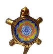 Dhan Laxmi Tortoise (Only Kachua) for Good Luck