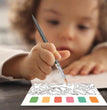Pocket Watercolour Painting Book