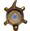 Dhan Laxmi Tortoise (Only Kachua) for Good Luck
