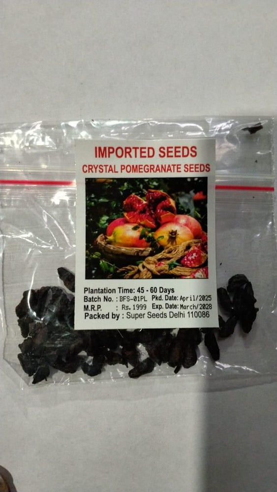 Pomegranate Seeds Pack of 2