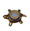 Dhan Laxmi Tortoise (Only Kachua) for Good Luck