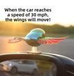 Moving Wind Swinging Bird Wings