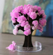 Magic Cherry Blossom Tree