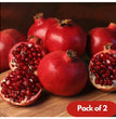 Pomegranate Seeds Pack of 2