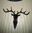 Hanging Hook- Self Adhesive Deer Head Hanging Hook (Pack of 1)