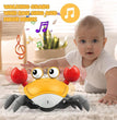 Cute Dancing Crab Toy with USB Rechargeable