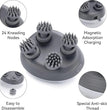Electric Pet, Cat Massager