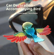 Moving Wind Swinging Bird Wings