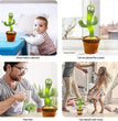 LED Musical Dancing & Mimicry Cactus Toy