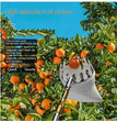 1 Set Fruit Picker Fruit Picking Tool