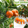 1 Set Fruit Picker Fruit Picking Tool